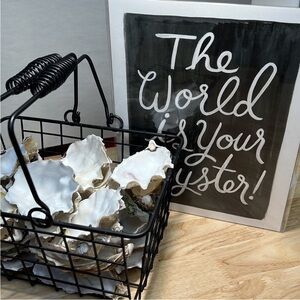 Alaskan Oyster Shells Clear Glaze Gloss 21 Bottom Shells